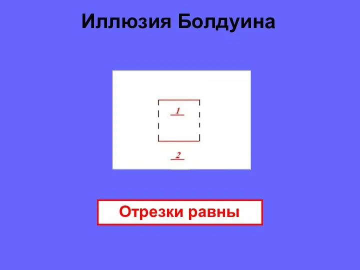 Иллюзия Болдуина Отрезки равны