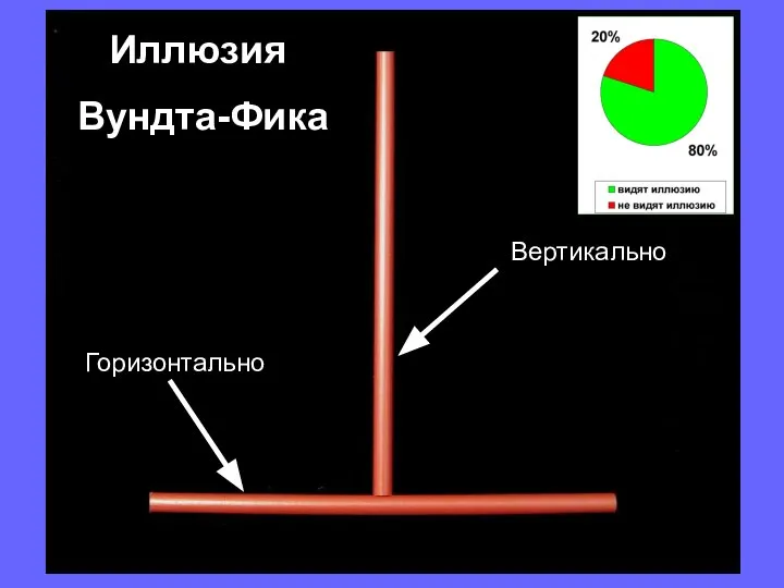 Горизонтально Иллюзия Вундта-Фика Вертикально