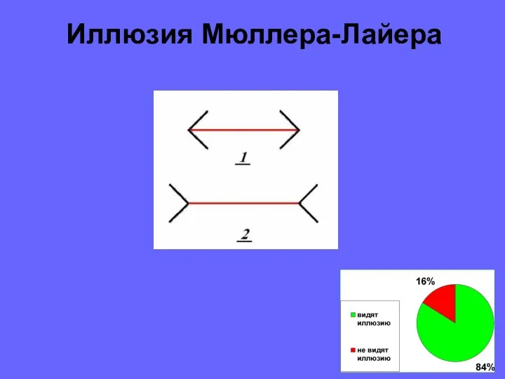 Иллюзия Мюллера-Лайера