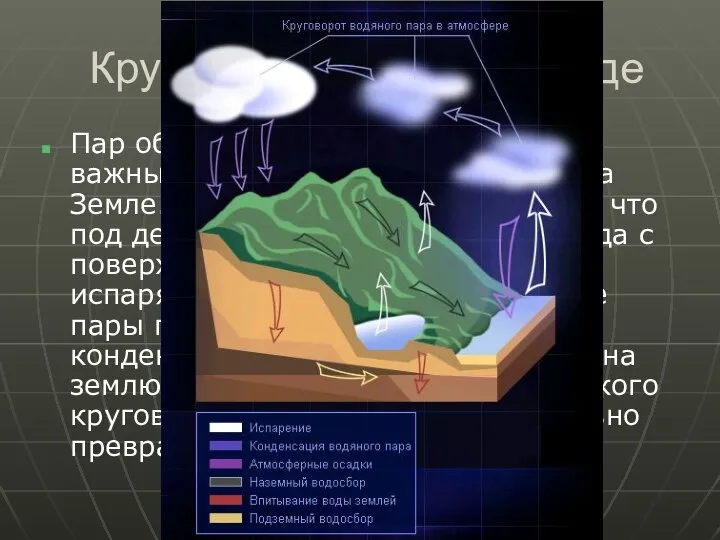 Круговорот пара в природе Пар обладает свойствами, очень важными для поддержания