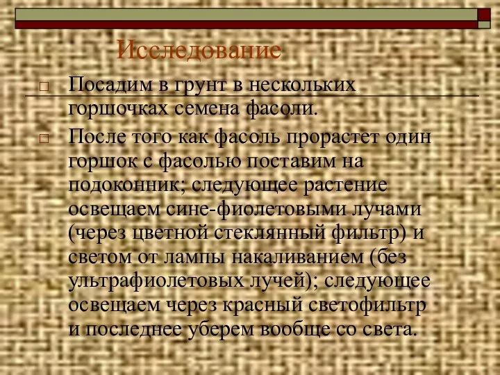 Исследование Посадим в грунт в нескольких горшочках семена фасоли. После того