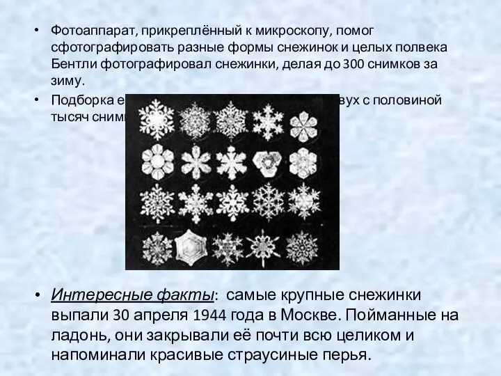 Фотоаппарат, прикреплённый к микроскопу, помог сфотографировать разные формы снежинок и целых