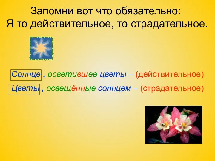 Запомни вот что обязательно: Я то действительное, то страдательное. Солнце ,