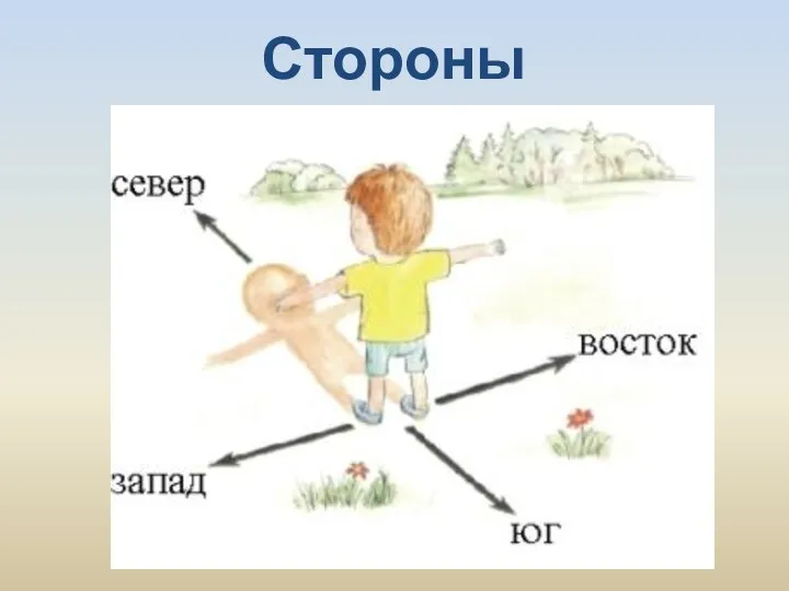 Стороны горизонта