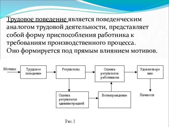 Трудовое поведение является поведенческим аналогом трудовой деятельности, представляет собой форму приспособления