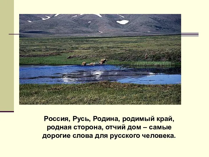 Россия, Русь, Родина, родимый край, родная сторона, отчий дом – самые дорогие слова для русского человека.