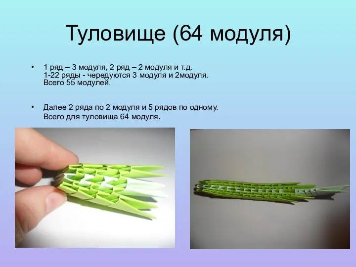 Туловище (64 модуля) 1 ряд – 3 модуля, 2 ряд –