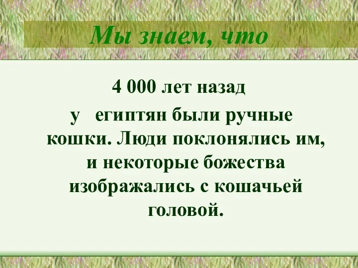 Мы знаем, что 4 000 лет назад у египтян были ручные