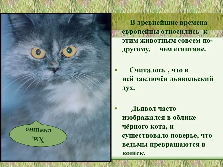 В древнейшие времена европейцы относились к этим животным совсем по-другому, чем