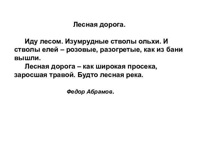 Лесная дорога. Иду лесом. Изумрудные стволы ольхи. И стволы елей –