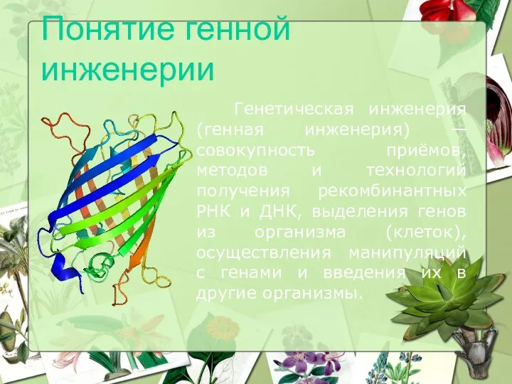 Генетическая инженерия (генная инженерия) — совокупность приёмов, методов и технологий получения