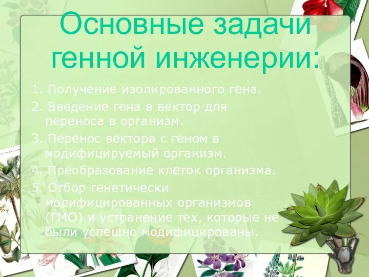 Основные задачи генной инженерии: 1. Получение изолированного гена. 2. Введение гена