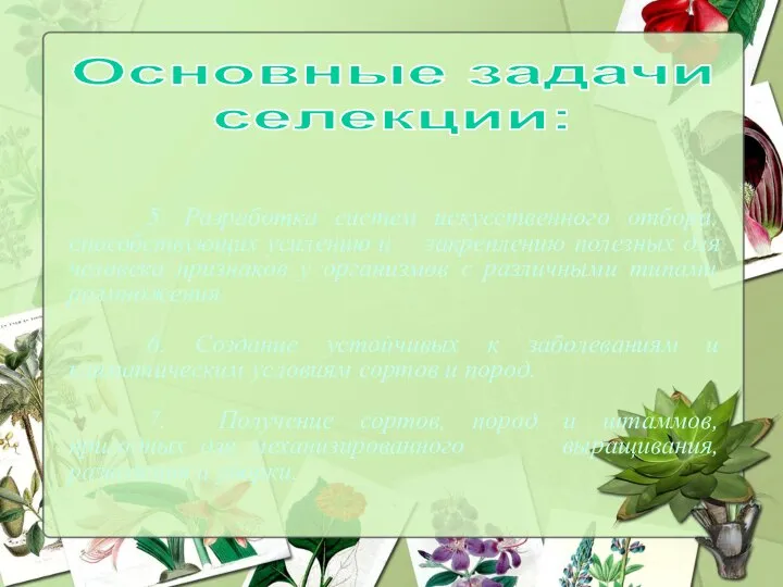 5. Разработка систем искусственного отбора, способствующих усилению и закреплению полезных для