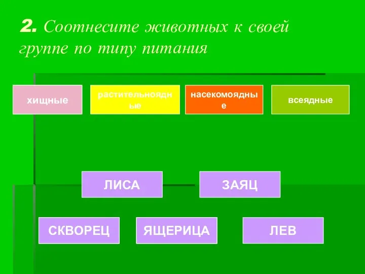 2. Соотнесите животных к своей группе по типу питания хищные растительноядные