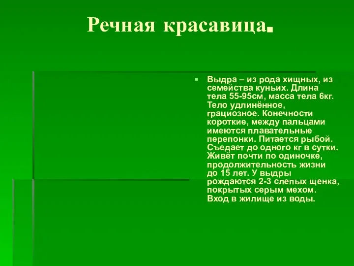 Речная красавица. Выдра – из рода хищных, из семейства куньих. Длина