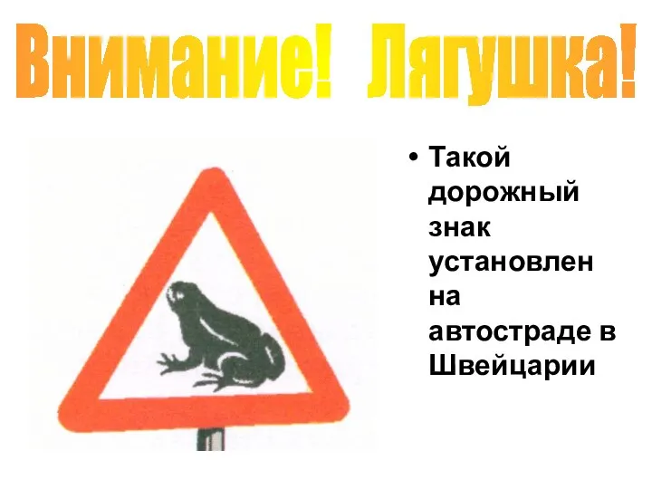 Такой дорожный знак установлен на автостраде в Швейцарии Внимание! Лягушка!