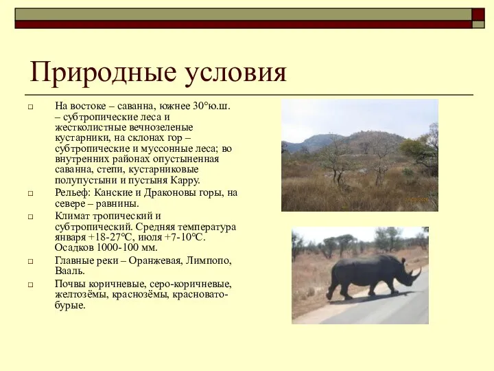 Природные условия На востоке – саванна, южнее 30°ю.ш. – субтропические леса