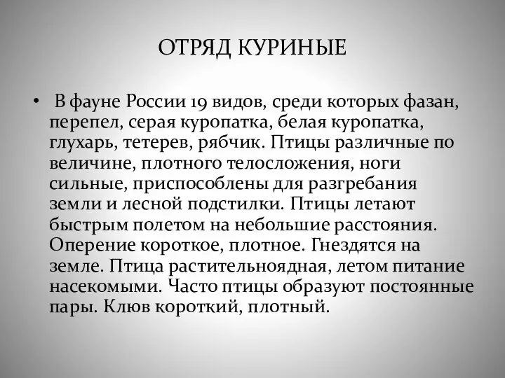 ОТРЯД КУРИНЫЕ В фауне России 19 видов, среди которых фазан, перепел,