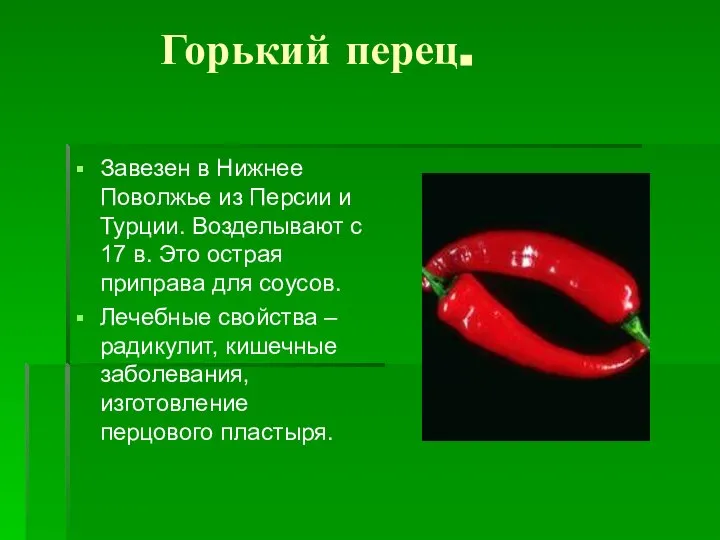 Горький перец. Завезен в Нижнее Поволжье из Персии и Турции. Возделывают