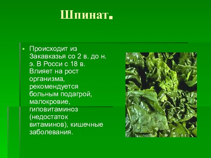 Шпинат. Происходит из Закавказья со 2 в. до н.э. В Росси