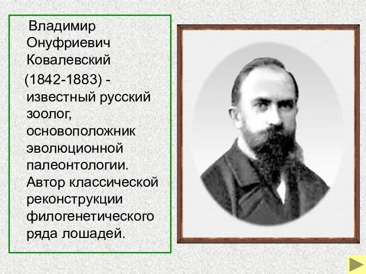Владимир Онуфриевич Ковалевский (1842-1883) - известный русский зоолог, основоположник эволюционной палеонтологии.