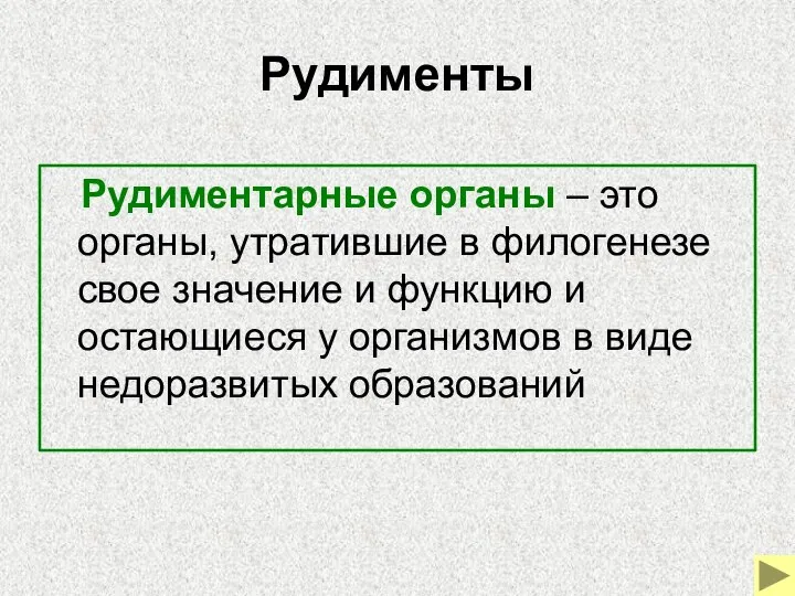 Рудименты Рудиментарные органы – это органы, утратившие в филогенезе свое значение