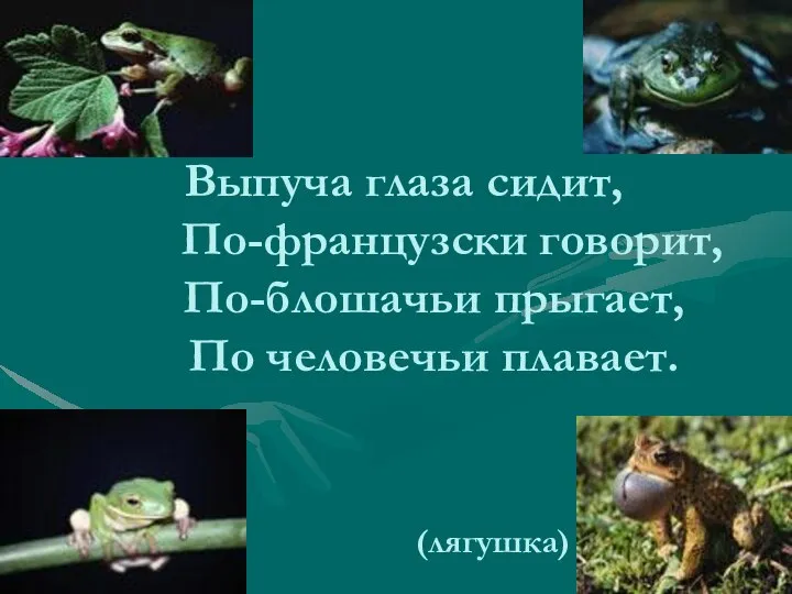 Выпуча глаза сидит, По-французски говорит, По-блошачьи прыгает, По человечьи плавает. (лягушка)