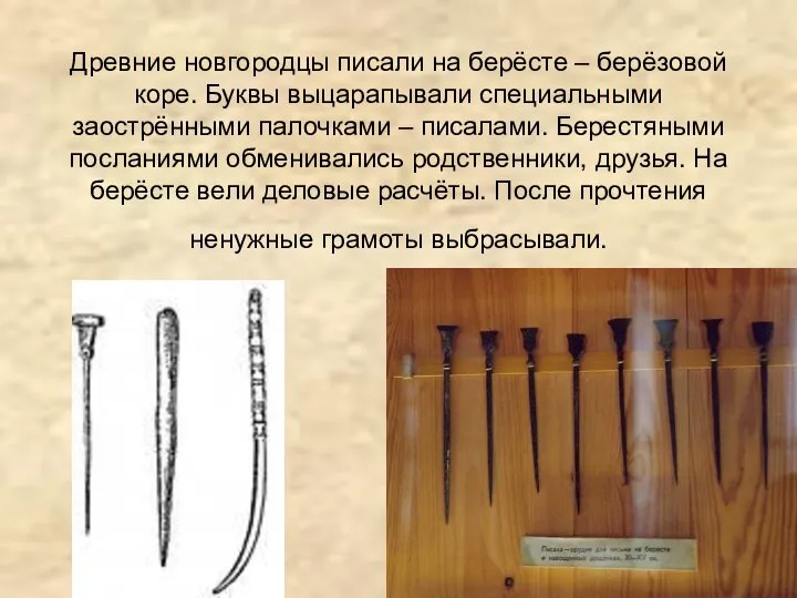 Древние новгородцы писали на берёсте – берёзовой коре. Буквы выцарапывали специальными