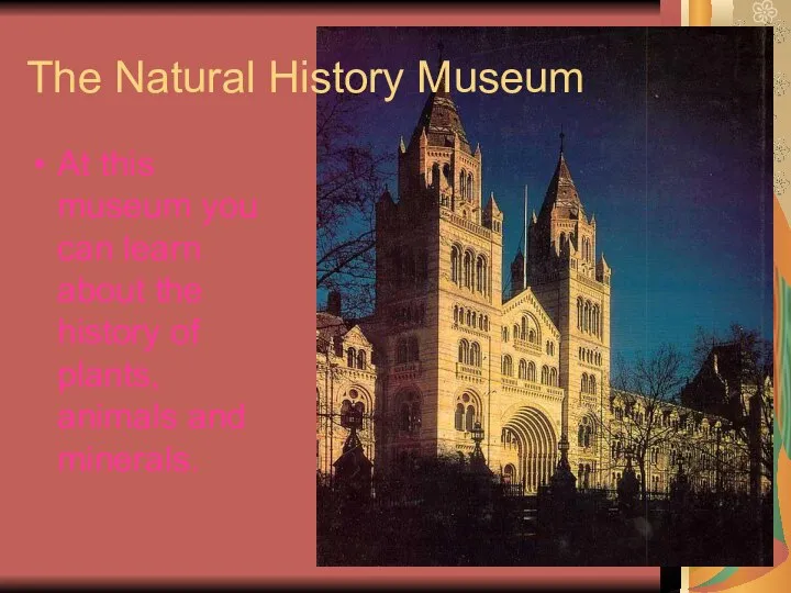 The Natural History Museum At this museum you can learn about