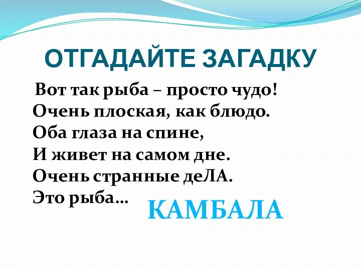 ОТГАДАЙТЕ ЗАГАДКУ Вот так рыба – просто чудо! Очень плоская, как