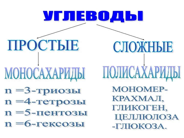 УГЛЕВОДЫ ПРОСТЫЕ СЛОЖНЫЕ МОНОСАХАРИДЫ n =3-триозы n =4-тетрозы n =5-пентозы n