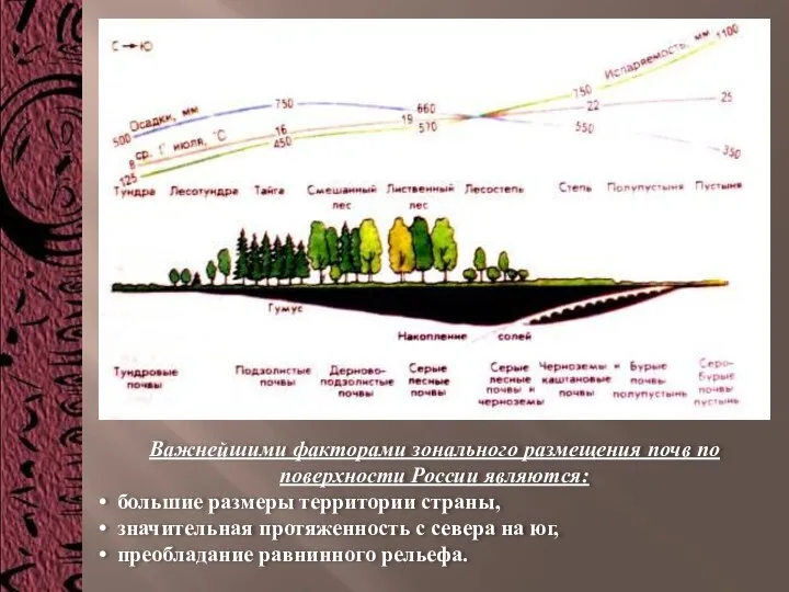 Важнейшими факторами зонального размещения почв по поверхности России являются: большие размеры