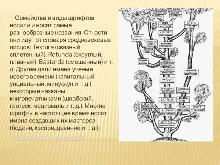 Семейство шрифтов Семейства и виды шрифтов носили и носят самые разнообразные