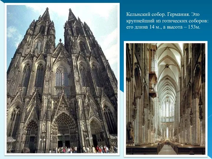 Кельнский собор. Германия. Это крупнейший из готических соборов: его длина 14 м., а высота – 153м.