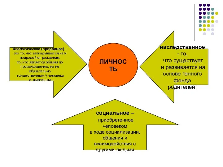 ЛИЧНОСТЬ биологическое (природное) – это то, что закладывается нам природой от