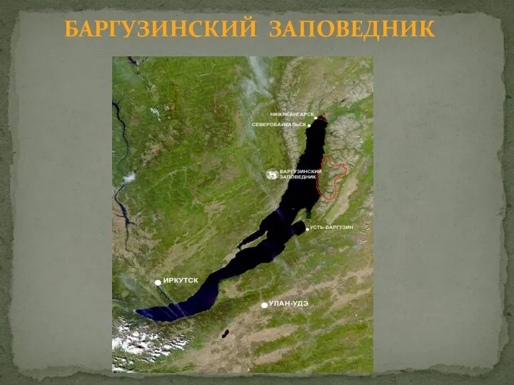 БАРГУЗИНСКИЙ ЗАПОВЕДНИК