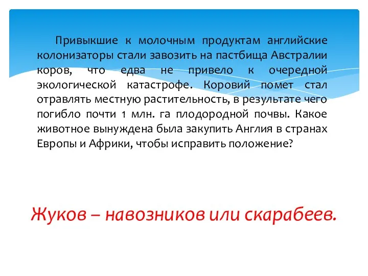 Привыкшие к молочным продуктам английские колонизаторы стали завозить на пастбища Австралии