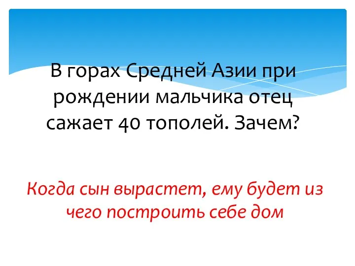 В горах Средней Азии при рождении мальчика отец сажает 40 тополей.