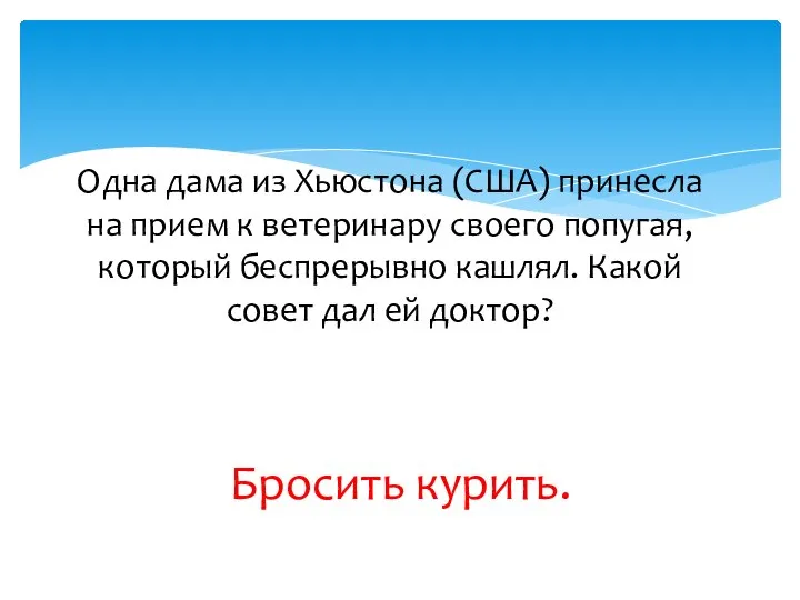 Одна дама из Хьюстона (США) принесла на прием к ветеринару своего