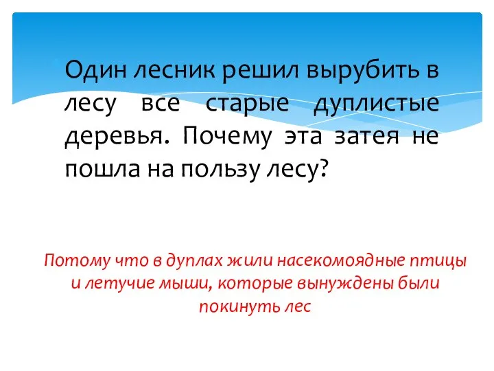 Один лесник решил вырубить в лесу все старые дуплистые деревья. Почему