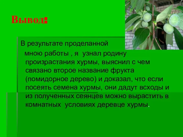 Вывод: В результате проделанной мною работы , я узнал родину произрастания