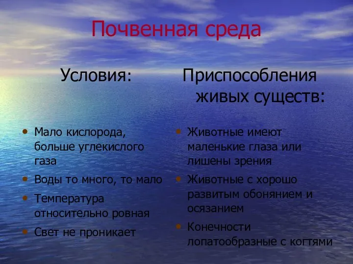 Почвенная среда Условия: Приспособления живых существ: Мало кислорода, больше углекислого газа