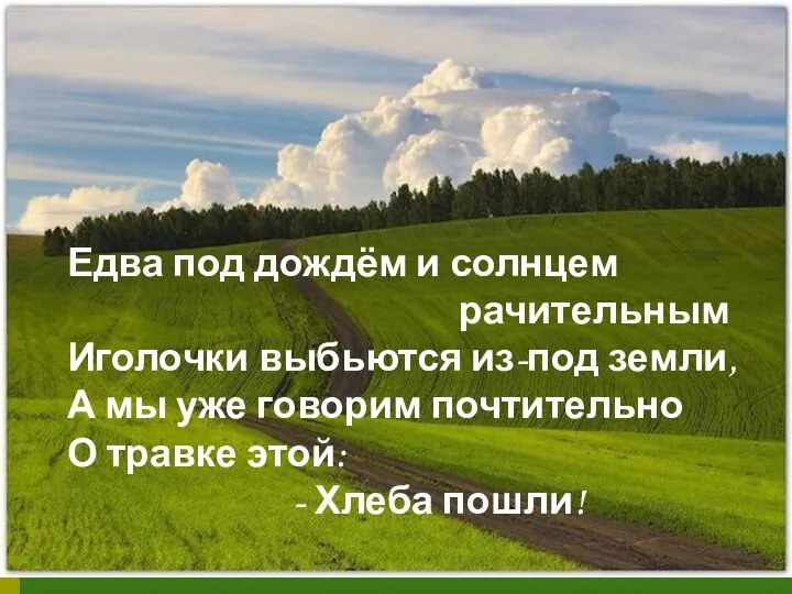 Едва под дождём и солнцем рачительным Иголочки выбьются из-под земли, А