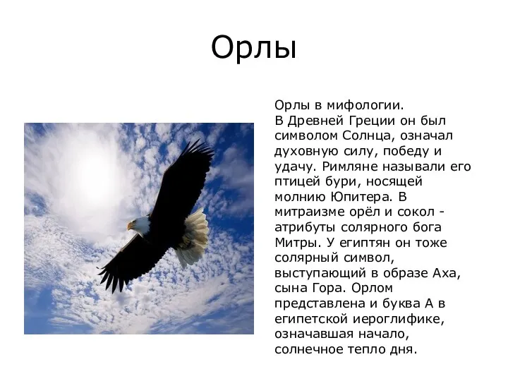 Орлы Орлы в мифологии. В Древней Греции он был символом Солнца,