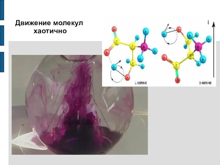 Движение молекул хаотично