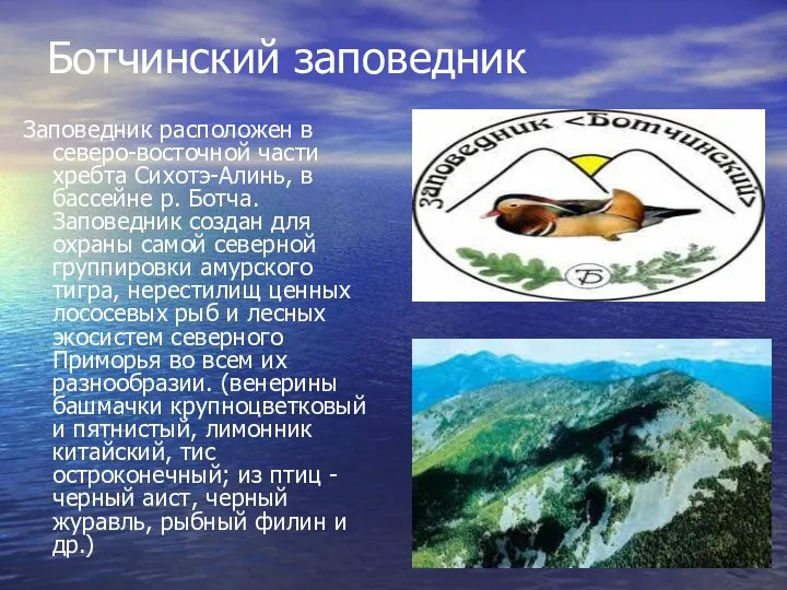 Ботчинский заповедник Заповедник расположен в северо-восточной части хребта Сихотэ-Алинь, в бассейне