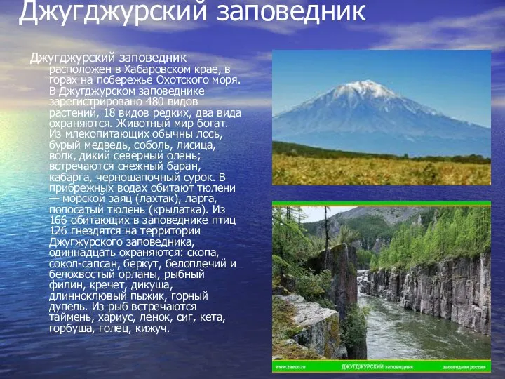 Джугджурский заповедник Джугджурский заповедник расположен в Хабаровском крае, в горах на