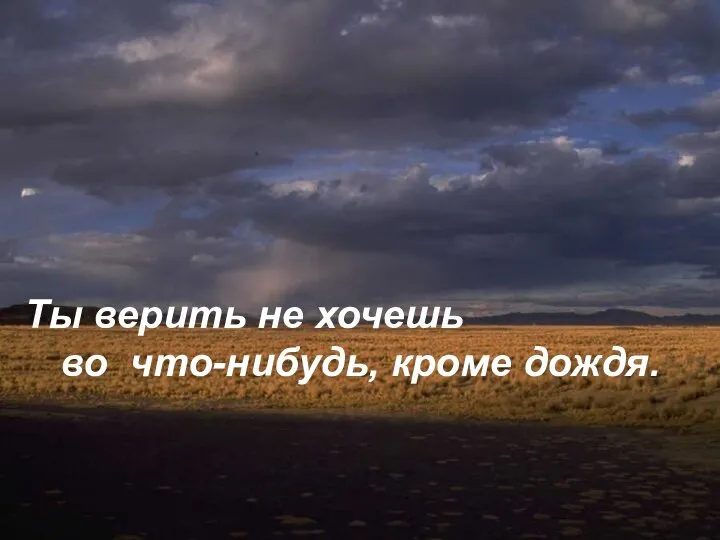 Ты верить не хочешь во что-нибудь, кроме дождя.