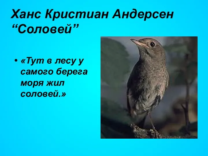 «Тут в лесу у самого берега моря жил соловей.» Ханс Кристиан Андерсен “Соловей”