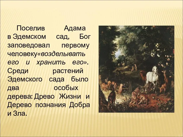 Поселив Адама в Эдемском сад, Бог заповедовал первому человеку«возделывать его и
